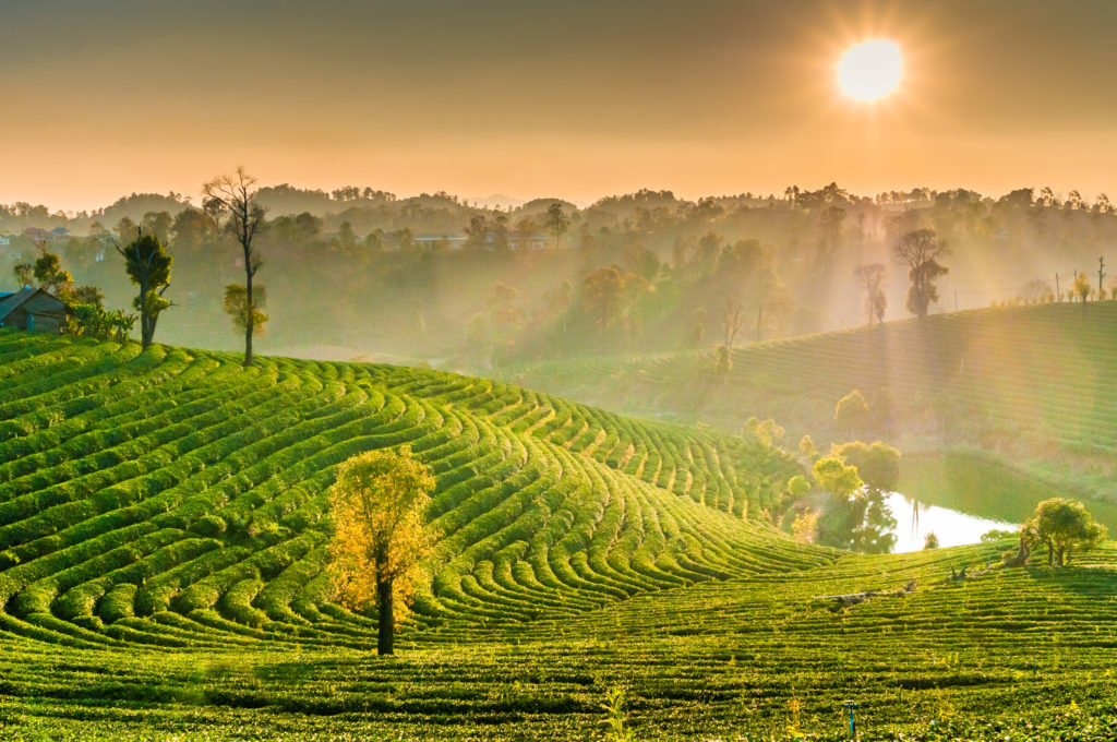 Panoramic view Sunrise and mist on mountain view at the north of thailand